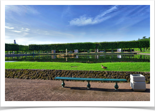 Large pond in the garden.